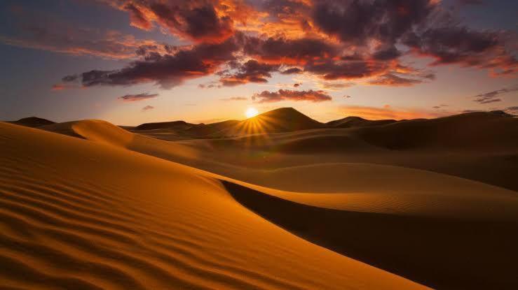 Golden Sandstone Hotel Desert Safari Camp Jaisalmer Εξωτερικό φωτογραφία