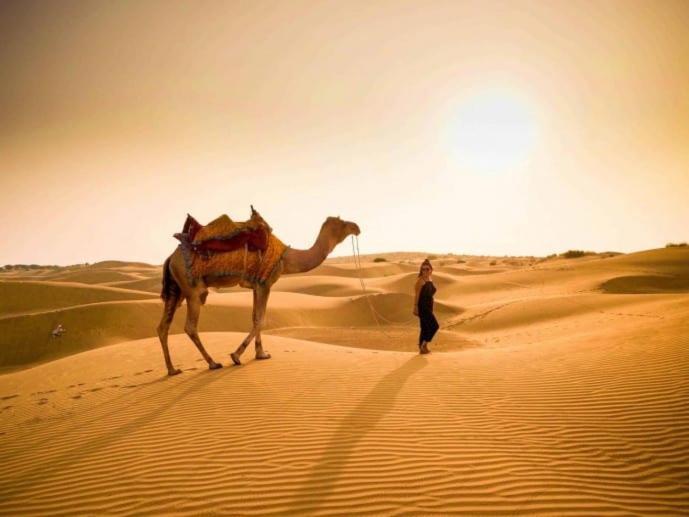 Golden Sandstone Hotel Desert Safari Camp Jaisalmer Εξωτερικό φωτογραφία